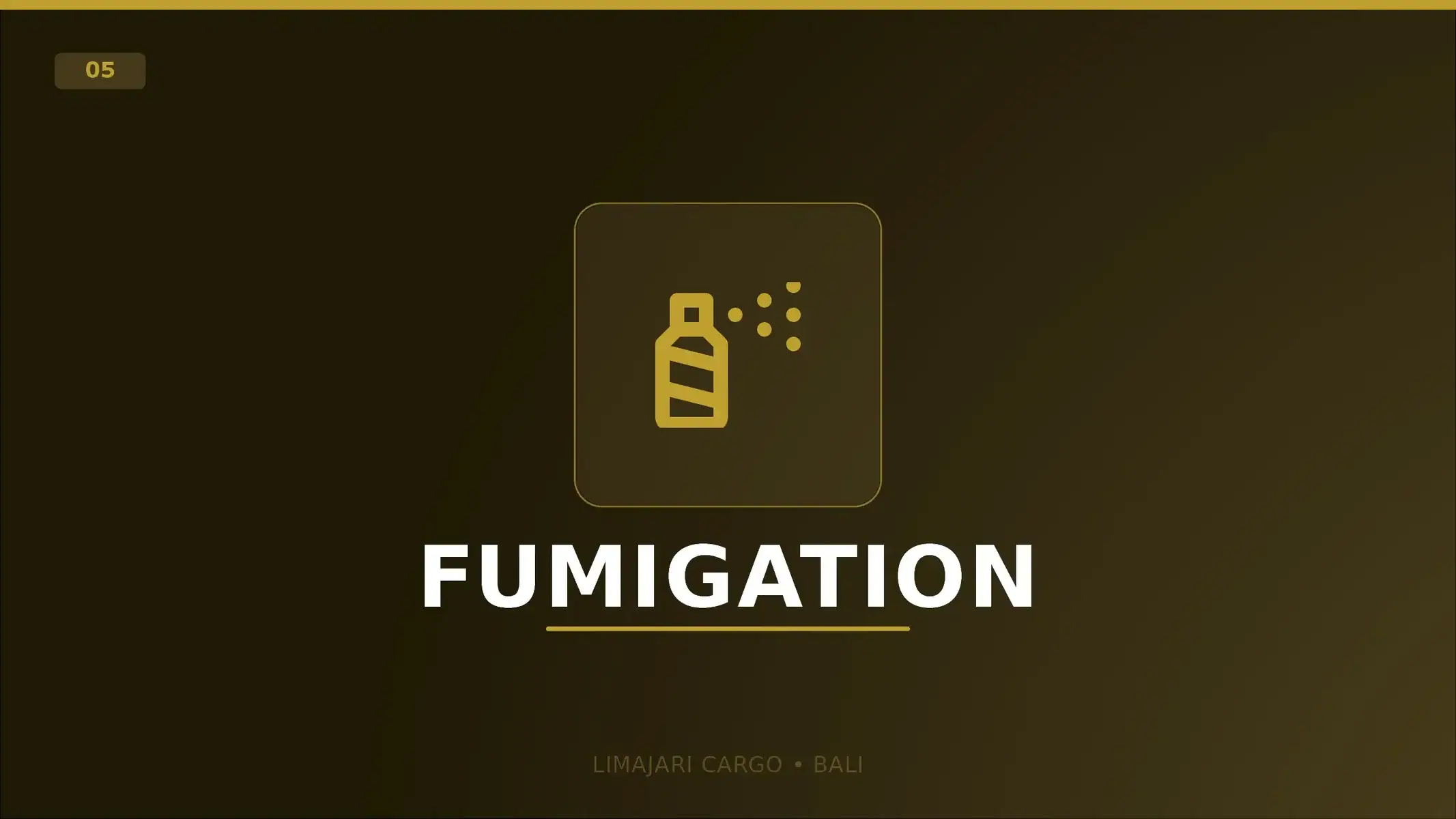 Limajari Cargo - Services logistiques - Fumigation Visuel titre du service de fumigation de Limajari Cargo, montrant une icône d'aérosol dorée au-dessus du mot fumigation sur un fond sombre.