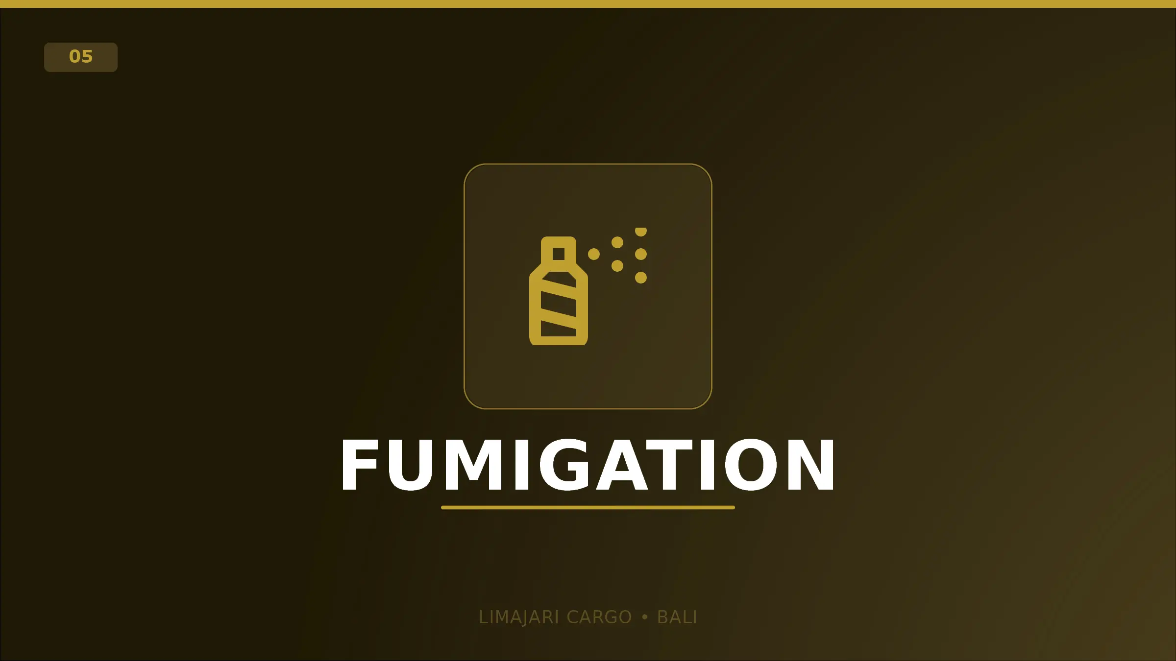 Title graphic for the Limajari Cargo fumigation service, showing a gold spray icon above the word fumigation on a dark background.