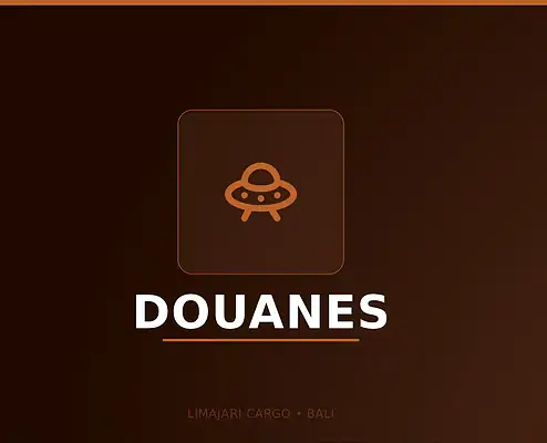 Visuel titre du service de douane à l'exportation de Limajari Cargo, montrant une icône orange au-dessus du mot douanes sur un fond sombre.